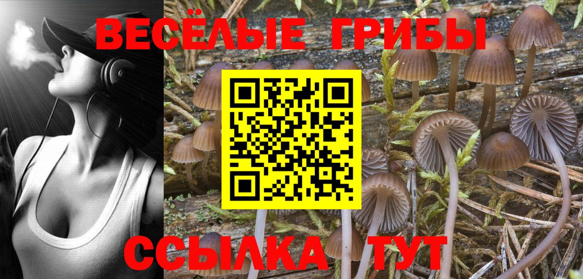 Псилоцибиновые грибы MAGIC MUSHROOMS Артём